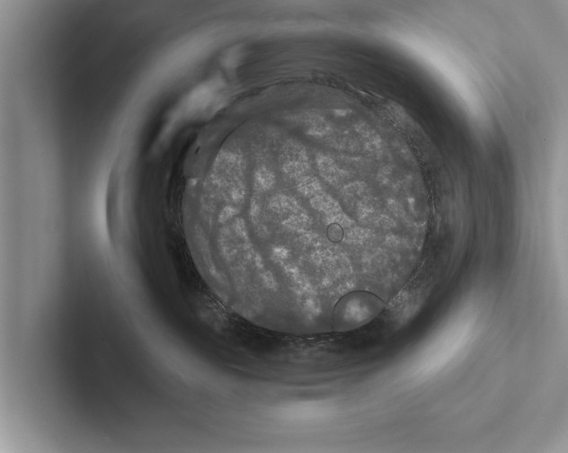 X0000102540189200809051540