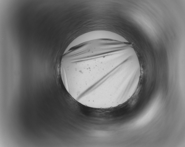 X0000102540190200809051540
