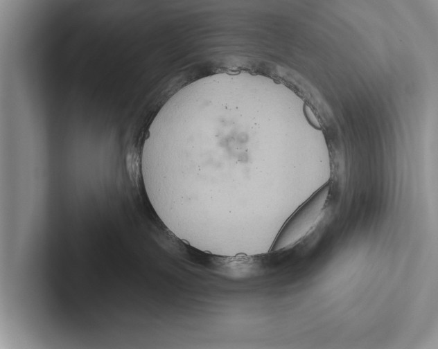 X0000102540191200809051540