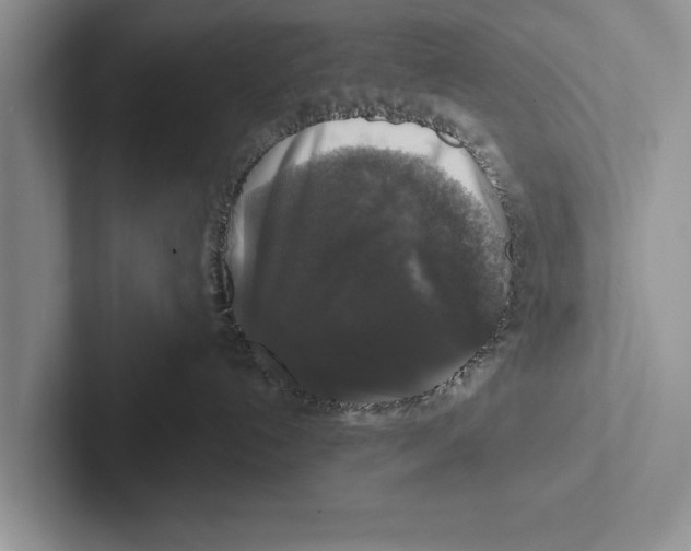 X0000102540192200809051540