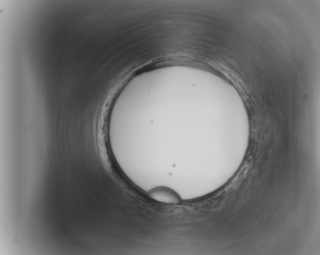 X0000102540193200809051540