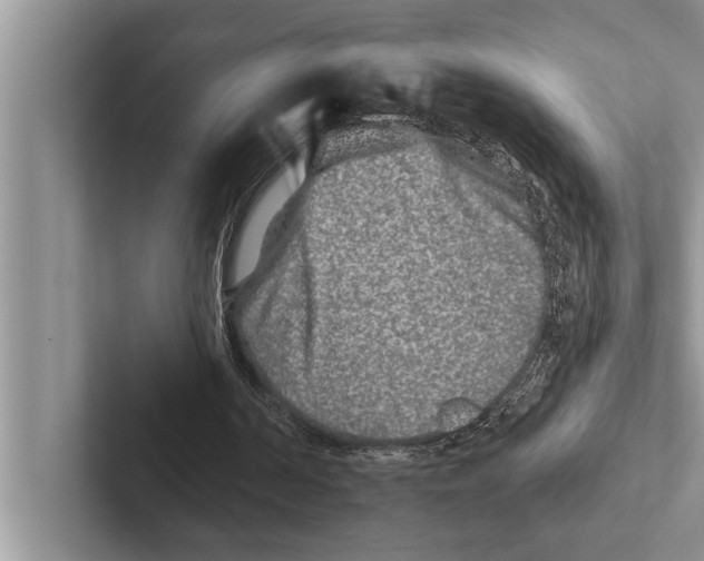 X0000102540194200809051540