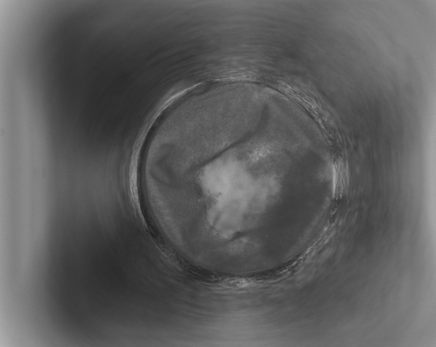 X0000102540195200809051540