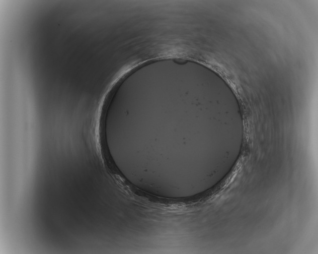 X0000102540196200809051540