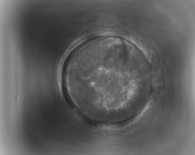 X0000102540199200809051540