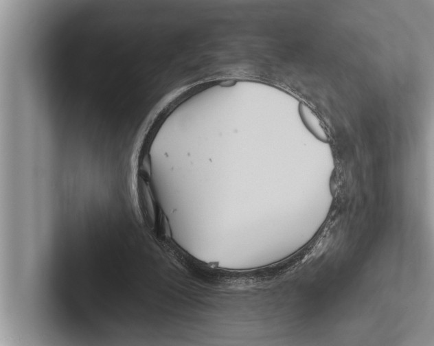 X0000102540200200809051540