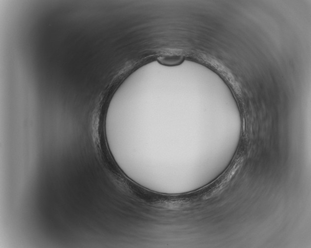 X0000102540201200809051540