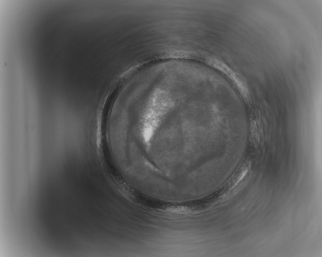 X0000102540203200809051540