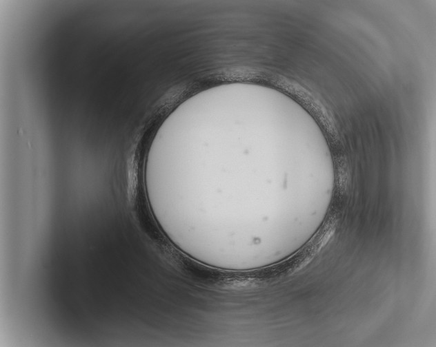 X0000102540206200809051539