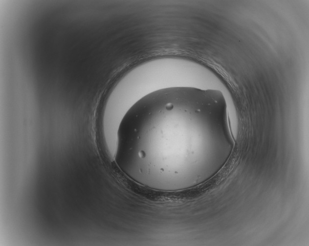 X0000102540207200809051539