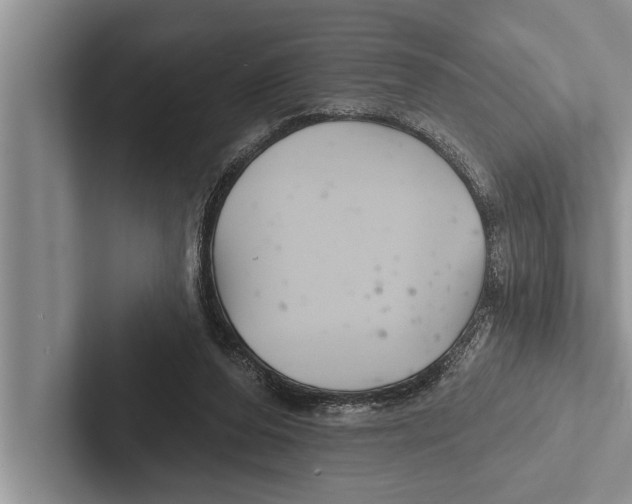 X0000102540208200809051539