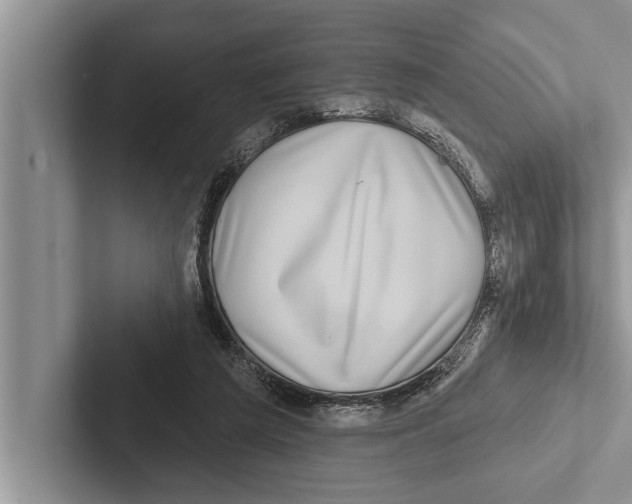 X0000102540209200809051539