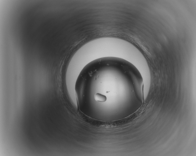X0000102540211200809051539