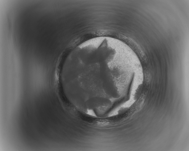 X0000102540214200809051539