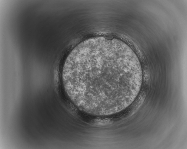 X0000102540215200809051539