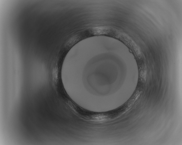 X0000102540219200809051539