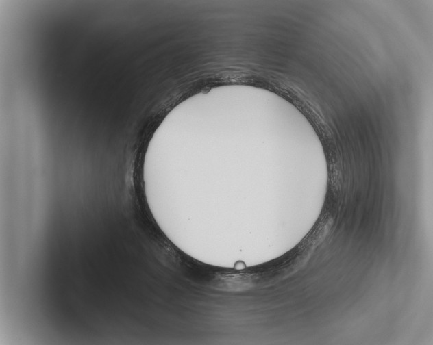 X0000102540221200809051539