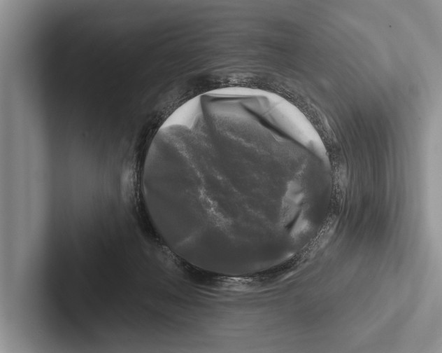 X0000102540222200809051539