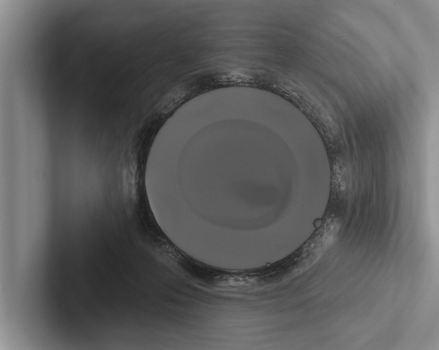 X0000102540223200809051539