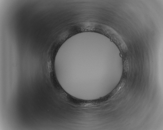 X0000102540224200809051539