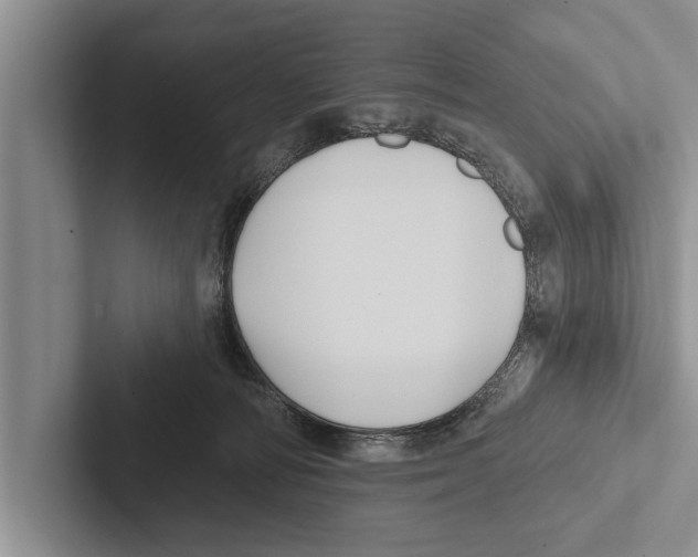 X0000102540226200809051539