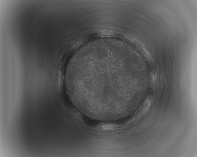 X0000102540228200809051539