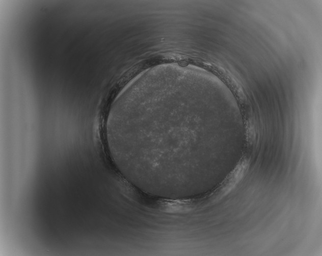 X0000102540229200809051539