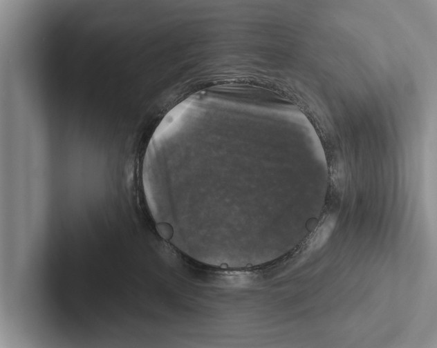 X0000102540233200809051539