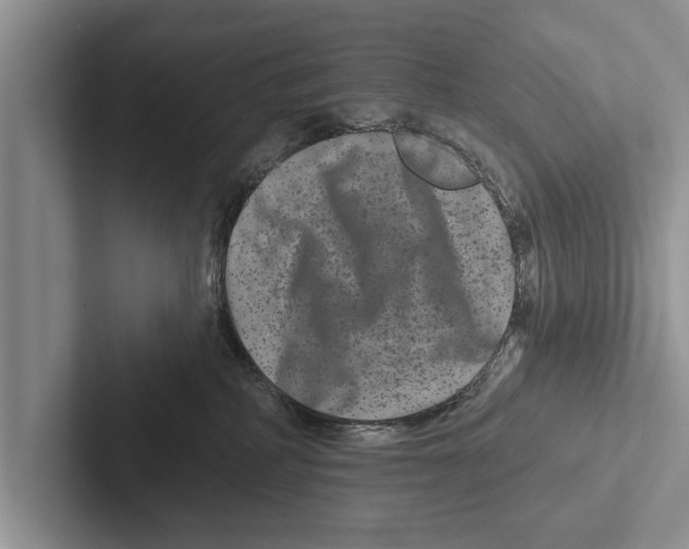X0000102540234200809051539