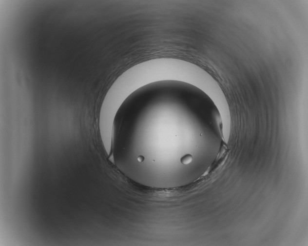 X0000102540237200809051539