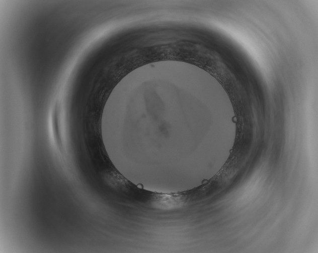 X0000102540239200809051539