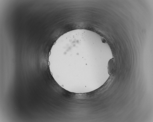X0000102540240200809051539