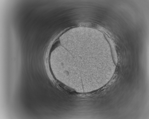X0000102540241200809051538