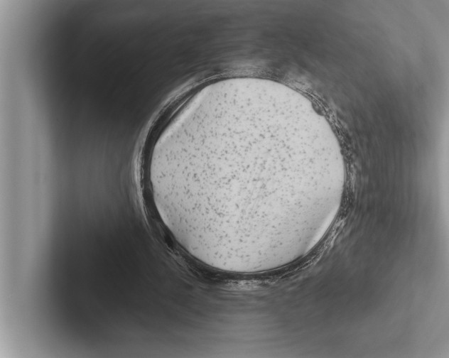 X0000102540244200809051538