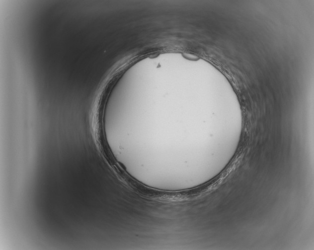 X0000102540245200809051538