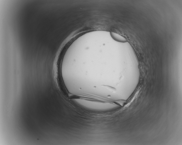 X0000102540246200809051538