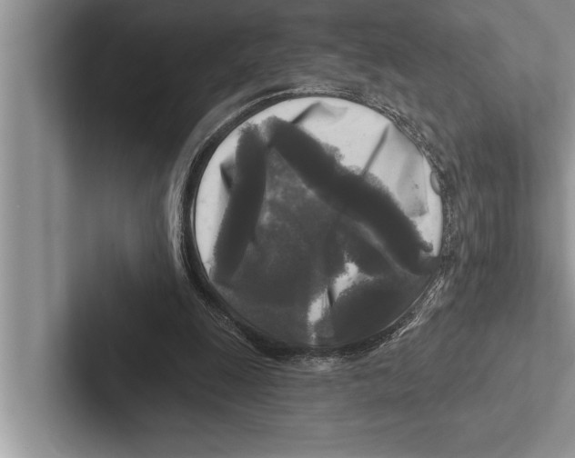 X0000102540247200809051538