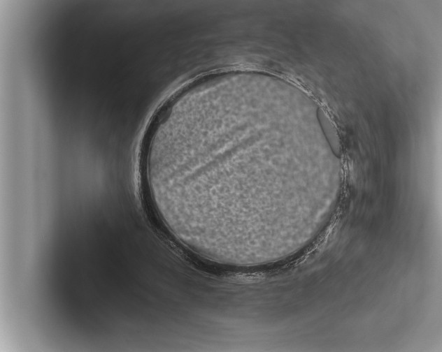 X0000102540248200809051538