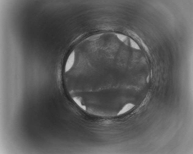 X0000102540249200809051538