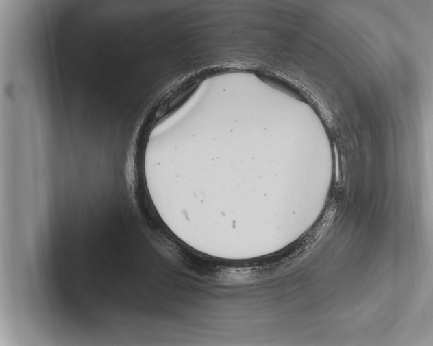 X0000102540252200809051538