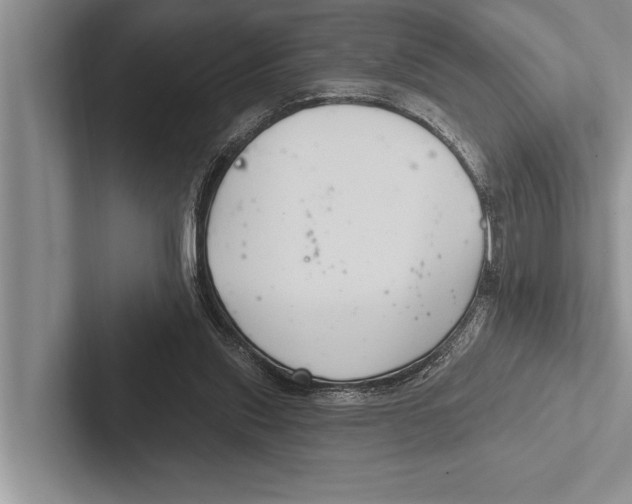 X0000102540253200809051538