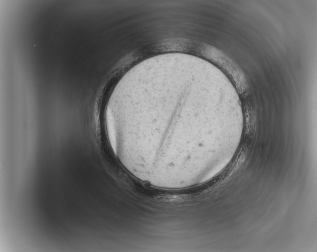 X0000102540254200809051538