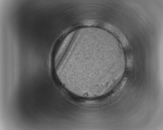 X0000102540256200809051538