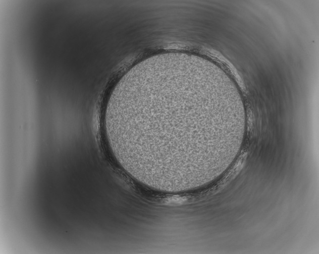 X0000102540257200809051538