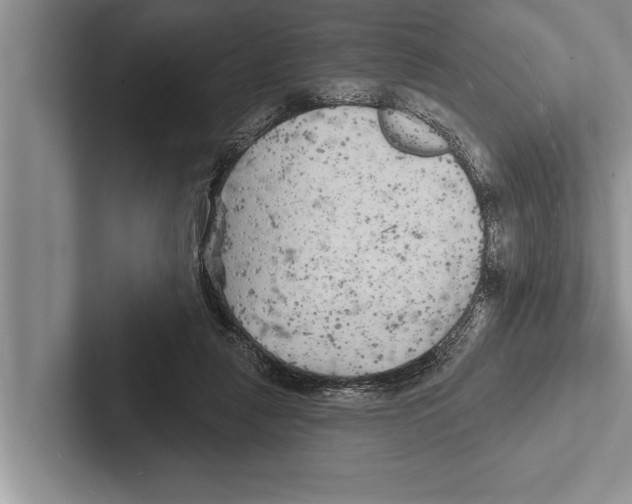 X0000102540259200809051538