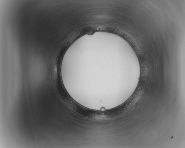 X0000102540262200809051539