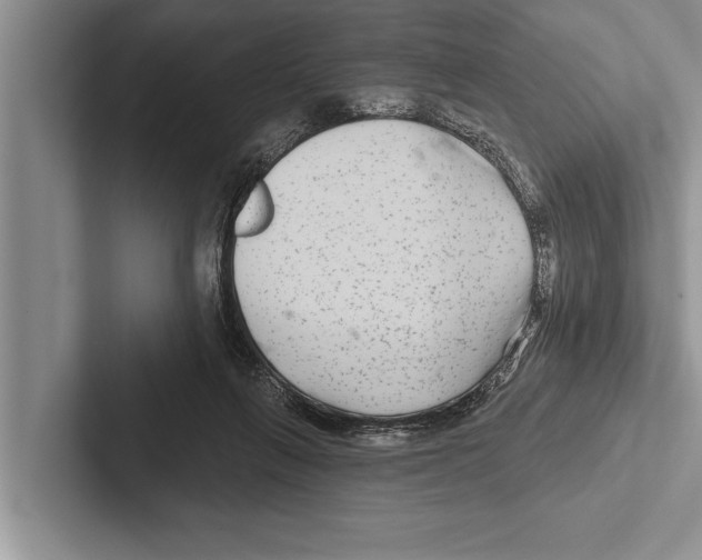 X0000102540263200809051539