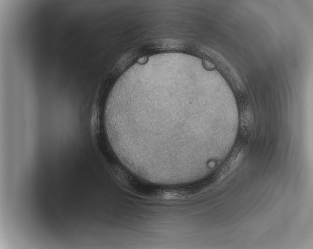 X0000102540264200809051539