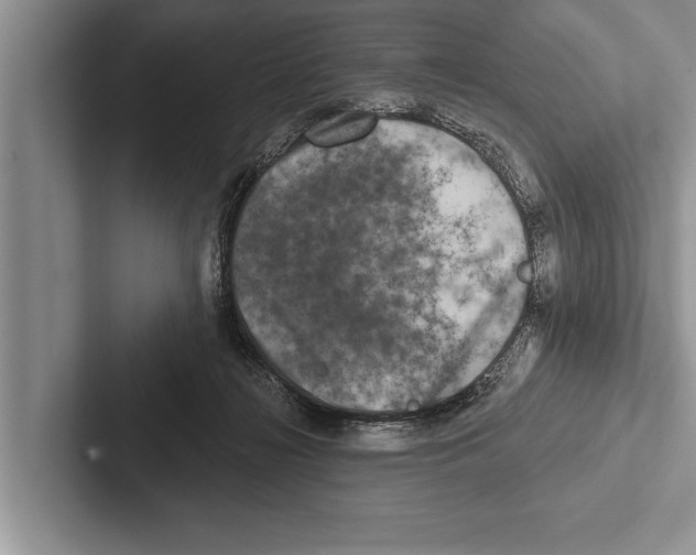 X0000102540268200809051539