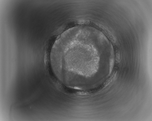 X0000102540272200809051539